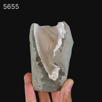 Scolecite Spray Inside MM Quartz Geode Natural Mineral Specimen # B 5655