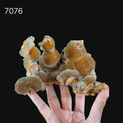Rare New Find Brown Thomsonite  Natural Mineral Specimen # B 7076