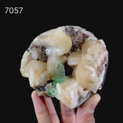 Green Apophyllite With Stilbite Natural Mineral Specimen # B 7057