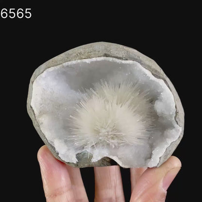Scolecite Spray Inside MM Quartz Geode Natural Mineral Specimen # B 6565