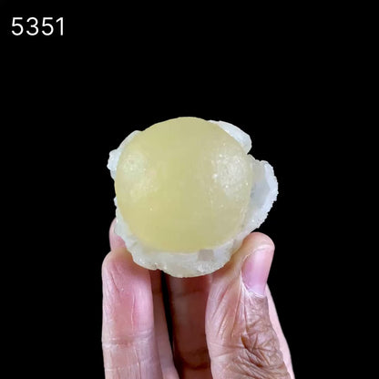 Fluorite ball on MM Quartz Natural Mineral Specimen # B 5351