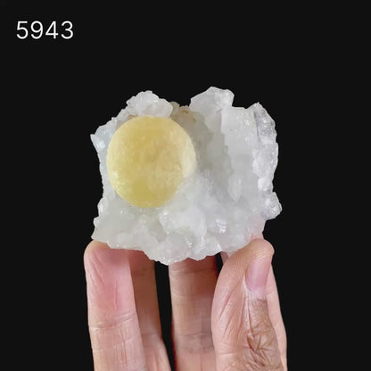 Fluorite balls on MM Quartz Natural Mineral Specimen # B 5943
