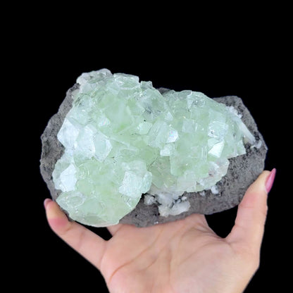 Green Apophyllite Cluster on Dark Matrix - Collector’s Zeolite Specimen from Ahilyanagar #DKT153