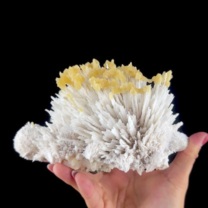 Honey Calcite on Mordenite Spray Burst - Collector’s Indian Zeolite Specimen from Pune,India # DKT147