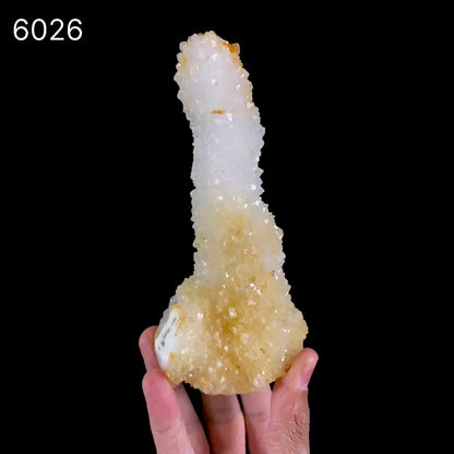 MM Quartz Stalactite Natural Mineral Specimen # B 6026