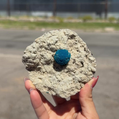 Electric-Blue Botryoidal Cavansite Rosette on Sparkling Heulandite Matrix – Rare Indian Zeolite Mineral Specimen from Pune # B DKT132