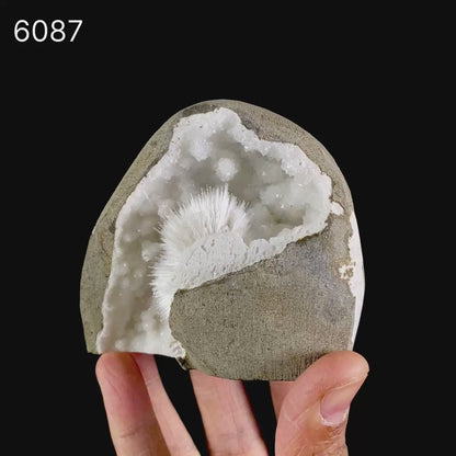 Scolecite Spray Inside MM Quartz Geode Natural Mineral Specimen # B 6087