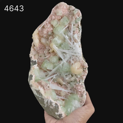 Green Apophyllite with Scolecite Sprays on Stilbite Natural Mineral Specimen  # B 4643