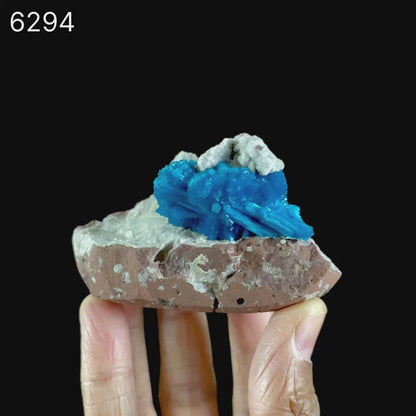 Cavansite on Heulandite (Rare Find) Free Standing Natural Mineral Specimen # B 6294