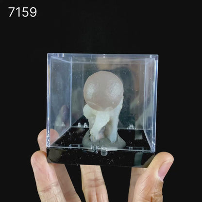 Botryoidal Fluorite on Quartz – Natural Mineral Specimen # B 7159
