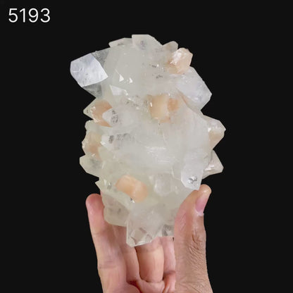 Apophyllite Sparkling with Stilbite Natural Mineral Specimen  # B 5193