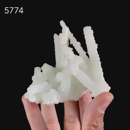 Prehnite Rare Find Natural Mineral Specimen # B 5774