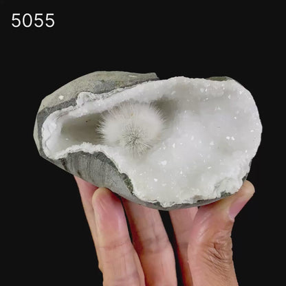 Scolecite Porcupine  Spray inside MM Quartz Geode Natural Mineral Specimen  # B 5055