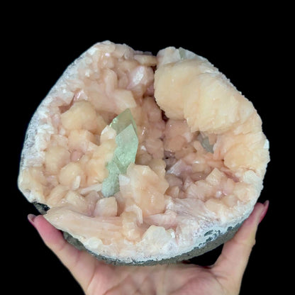 Prismatic Green Apophyllite Crystal Nestled in Peach Stilbite Geode Pocket - Collector’s Cabinet Specimen from Jalgaon, India # DKT188