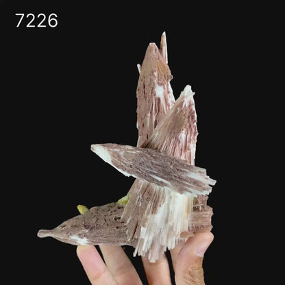 Rare Scolecite Spray with Red Hematite Inclusions & Calcite Crystals – Magnificent Indian Zeolite Mineral Specimen from Nashik # B 7226