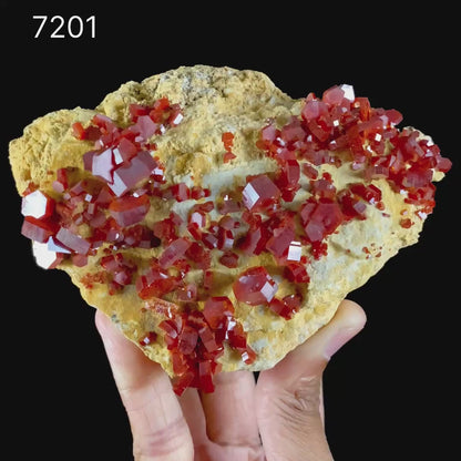 Lustrous Red Vanadinite  - Natural Raw Mineral Specimen from Mibladen, Morocco # B 7201