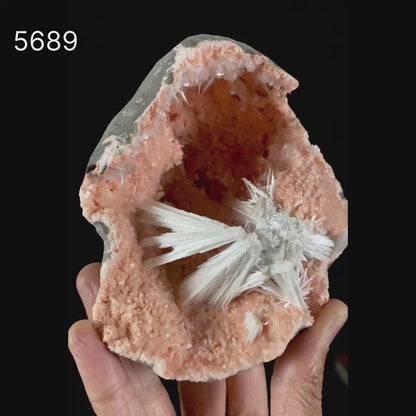Scolecite Sprays Inside Heulandite Geode Natural Mineral Specimen # B 5689