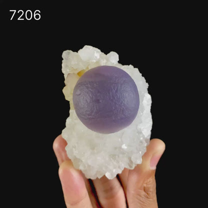 Rare Deep Purple Botryoidal Fluorite on Quartz Matrix - Collector’s Specimen from Madhya Pradesh # B 7206