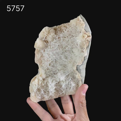 Scolecite Sprays Inside Heulandite Geode Natural Mineral Specimen # B 5757