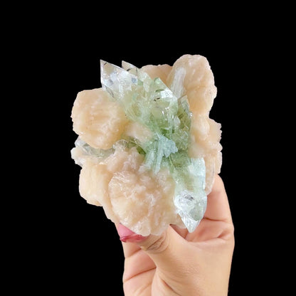 Lustrous Green Apophyllite Points on Stilbite Matrix - Natural Indian Zeolite from Jalgaon # DKT149