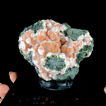Orange Thomsonite Spheres with Mesolite Needles on Matrix - Collector’s Specimen from Deshgaon, Madhya Pradesh # DKT164