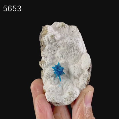 Pentagonite on Mordeite (Rare Find) Natural Mineral Specimen # B 5653