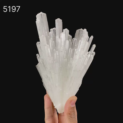 Scolecite Sprays Natural Mineral Specimen  # B 5197