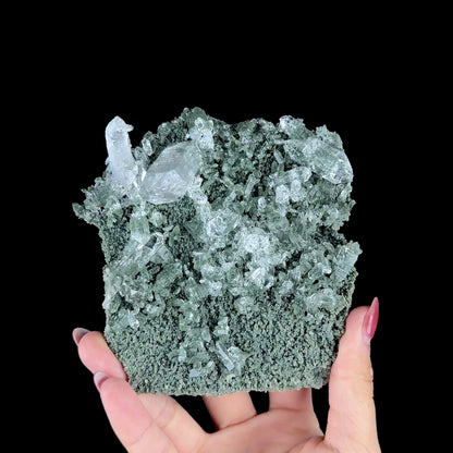 Water-Clear Quartz Crystal Cluster with Earthy Chlorite Inclusions - Collector’s Cabinet Specimen # DKT189