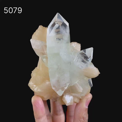 Clear Apophyllite With Stilbite Natural Mineral Specimen  # B 5079