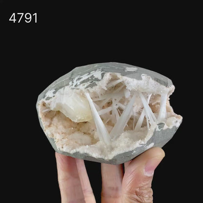 Scolecite Intergrown Sprays Inside Heulandite Geode Natural Mineral Specimen  # B 4791