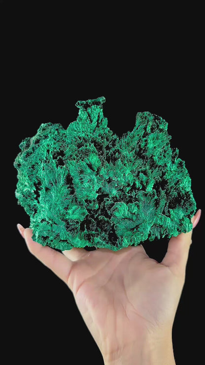 Fibrous Malachite | SELF STANDING | High Quality Mineral | Superb Minerals | Fine Minerals