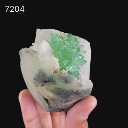 Gemmy Emerald-Green Apophyllite "Flower" Spray with White Calcite & Stilbite Matrix - Collector’s Specimen from Jalgaon, India # B 7204