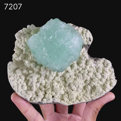 Lustrous Cubic Green Apophyllite on Pale Green Chalcedony Matrix - Natural Specimen from Pune, India # B 7207