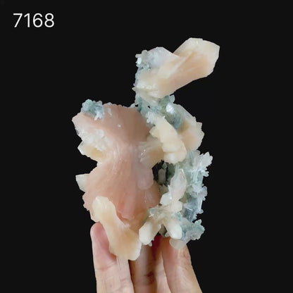 Museum Grade - Rare Peach Heulandite with Stilbite & Chalcedony – Natural Indian Zeolite Specimen # B 7168