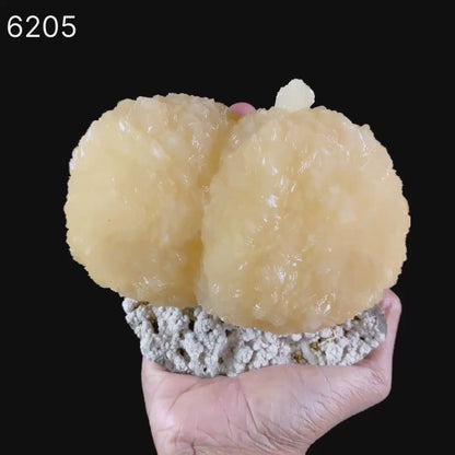 Stilbite on Chalcedony Natural Mineral Specimen # B 6205