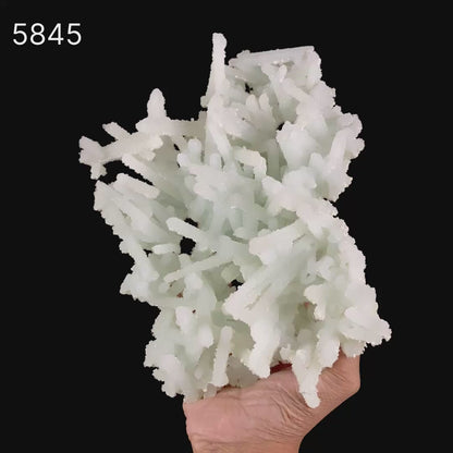 Prehnite Rare Find Natural Mineral Specimen # B 5845