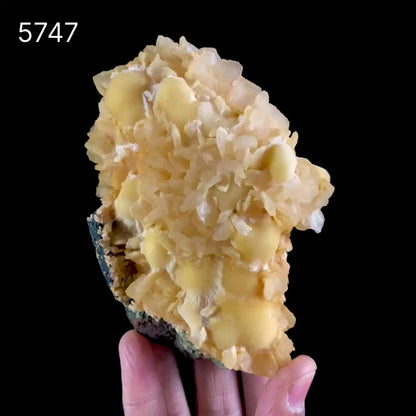 Thomsonite Rare Find with Stilbite Natural Mineral Specimen # B 5747