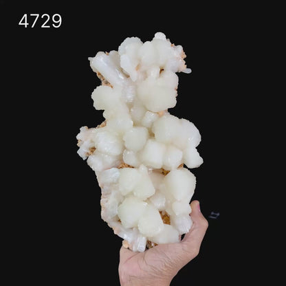 Stilbite on Heulandite Natural Mineral Specimen  # B 4729