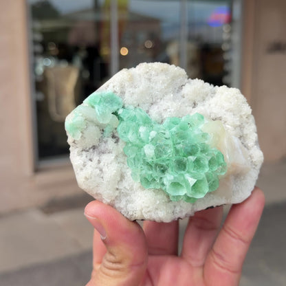 Rare Green Grape Apophyllite Crystal Cluster from Jalgaon, India Natural Collector Specimen # DKT9
