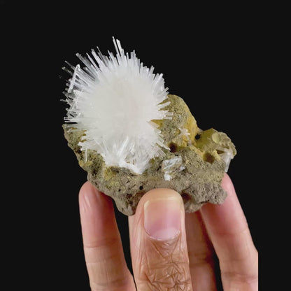 Fine Scolecite Spray Flower on Basalt Matrix - Collector’s Zeolite Specimen from Nashik, India # B 7193