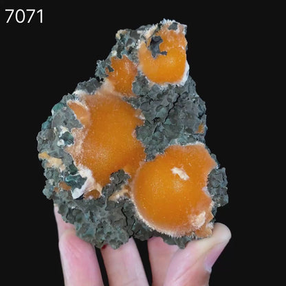 Thomsonite Orange Rare Find Natural Mineral Specimen # B 7071