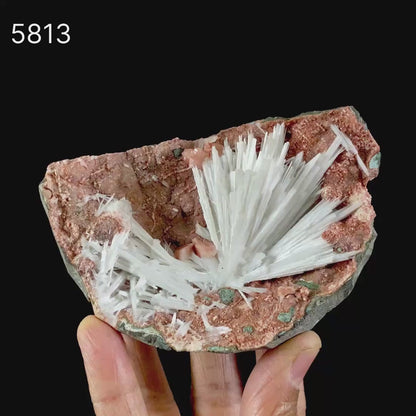 Scolecite Sprays Inside Heulandite Geode Natural Mineral Specimen # B 5813.