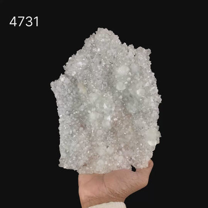 Gemmy Apophyllite Slice Natural Mineral Specimen  # B 4731