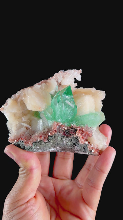 Green Apophyllite sharp terminated Natural Mineral Specimen USA # B 7016
