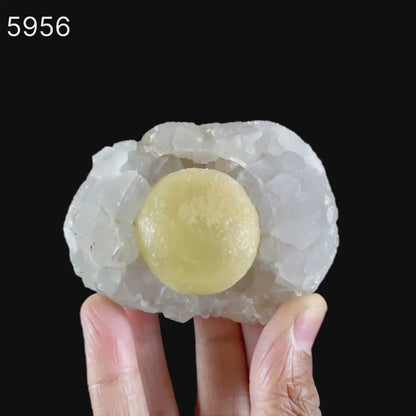 Fluorite Huge balls on MM Quartz Natural Mineral Specimen # B 5956