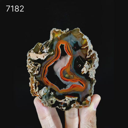 Crater Agate – Fluorescent Chalcedony Quartz Specimen from Chubut , Argentina (UV Reactive) # B 7182