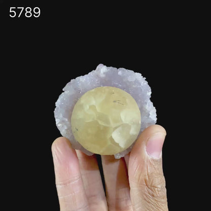 Fluorite Huge Ball on Amethyst Very Rare Natural Mineral Specimen # B 5789