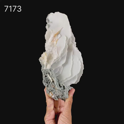 Rare Blade Calcite – Red Fluorescent Natural Mineral Specimen from Mumbai # B 7173