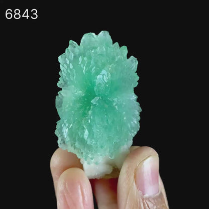 Green Apophyllite Bow with Stilbite Natural Mineral Specimen  # B 6843