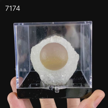 Botryoidal Fluorite on Quartz – Natural Mineral Specimen # B 7174